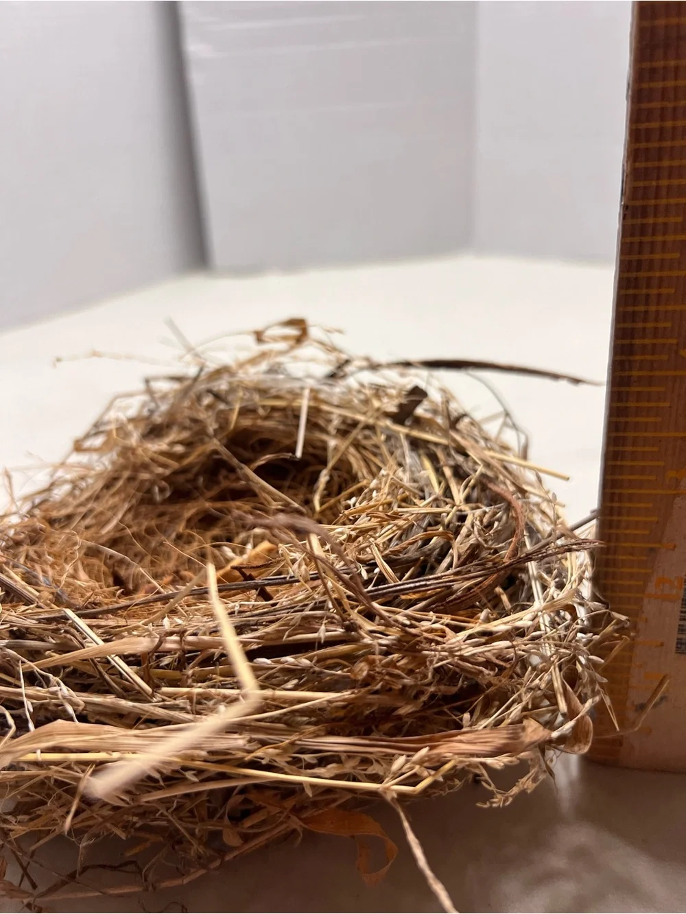Natural Bird Nest Decorative Bowl - Rustic Brown